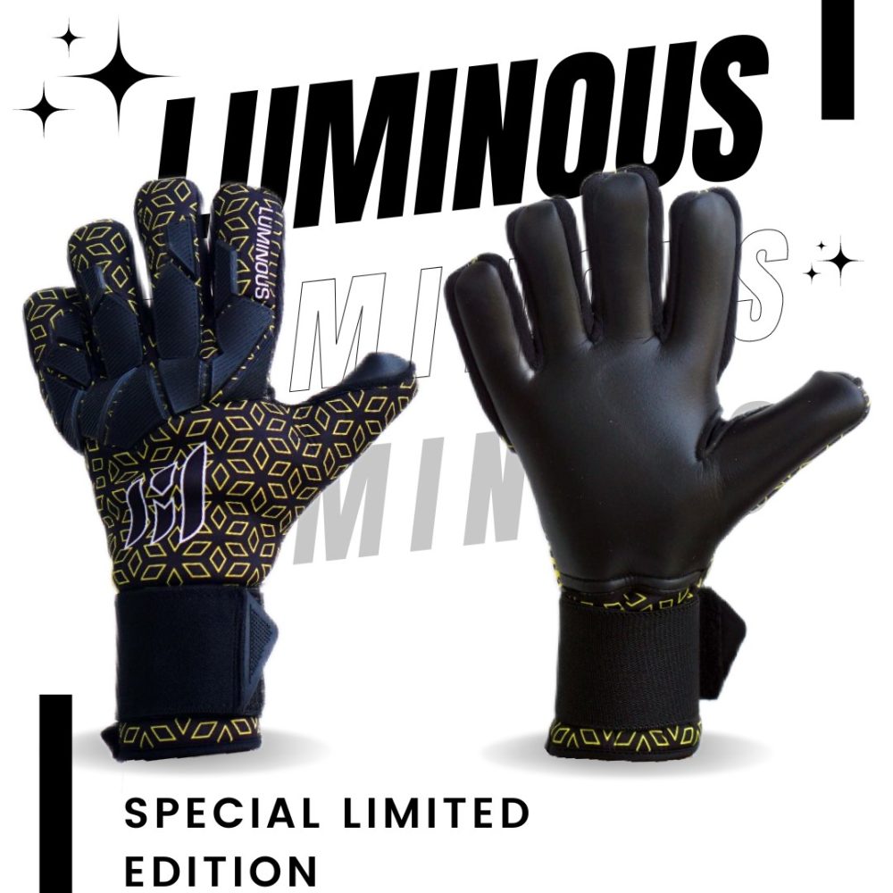 MEET INDONESIA LUMINOUS