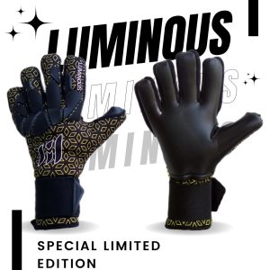 MEET INDONESIA LUMINOUS